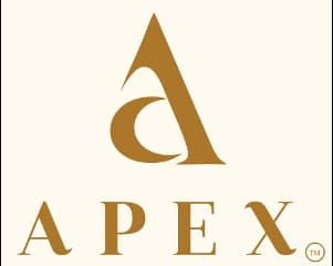 Apex Group — developer logo