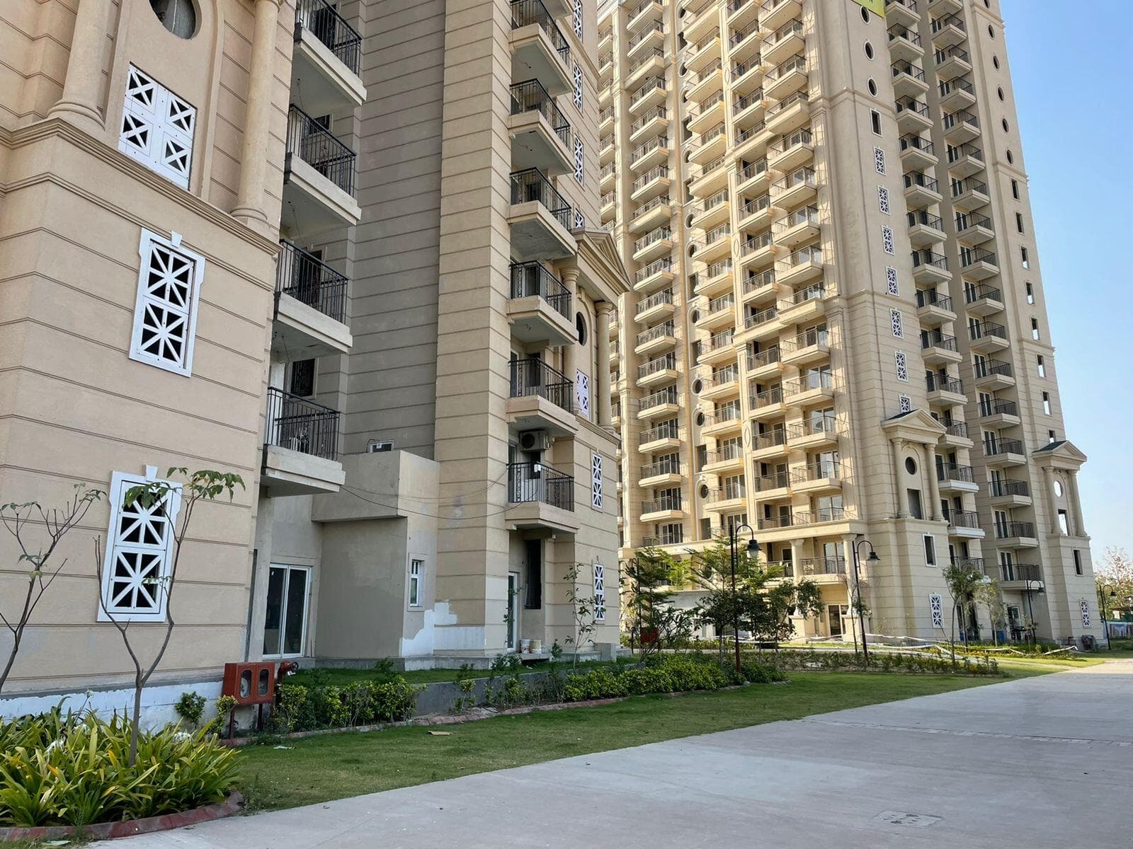 ATS Marigold - Gallery 1 ATS Marigold - Gallery 1