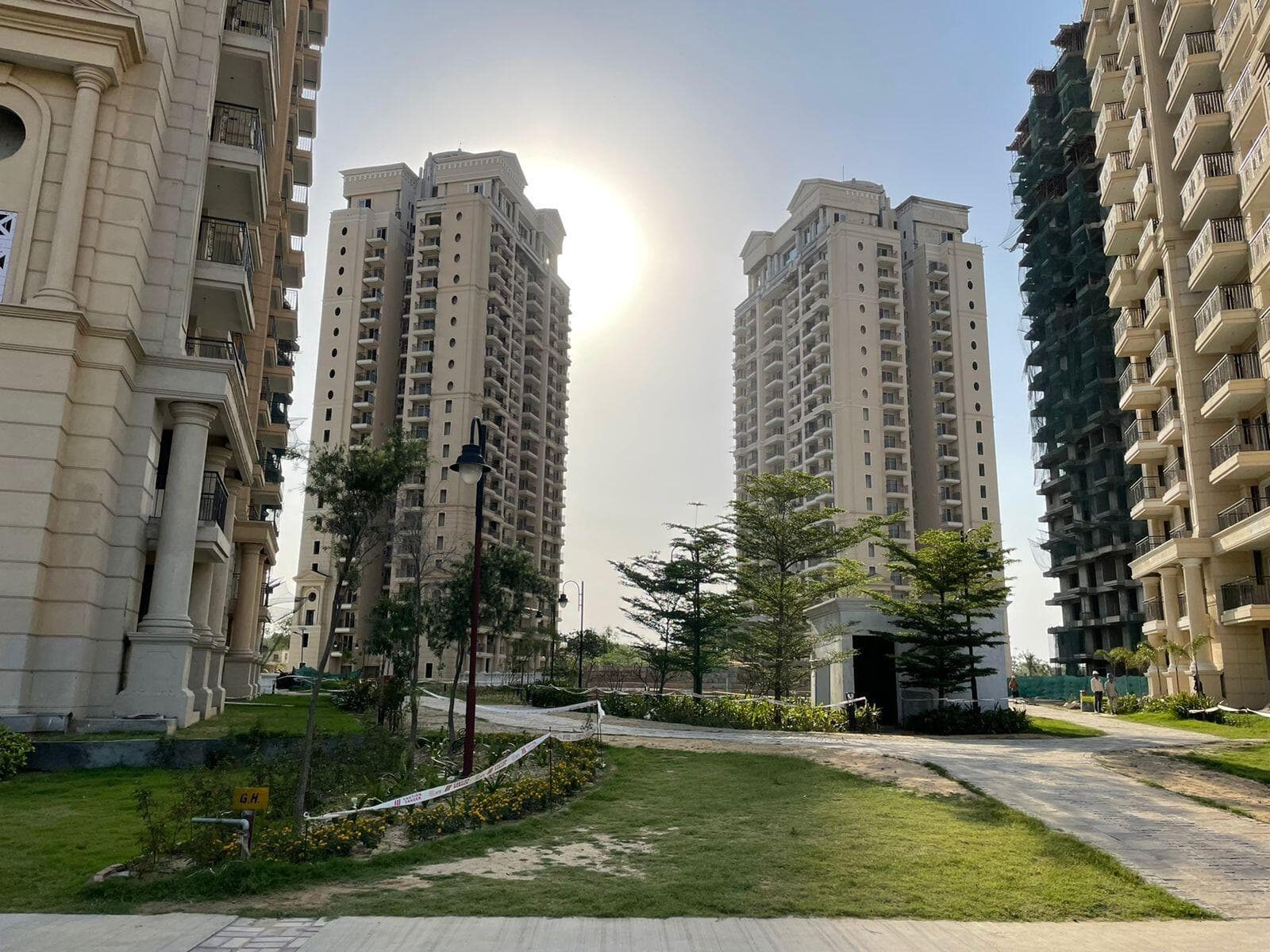 ATS Marigold - Gallery 2 ATS Marigold - Gallery 2