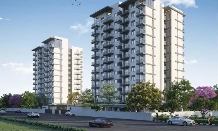 ef16cc08-b977-43c6-878e-46253bcebc98.webp ef16cc08-b977-43c6-878e-46253bcebc98.webp