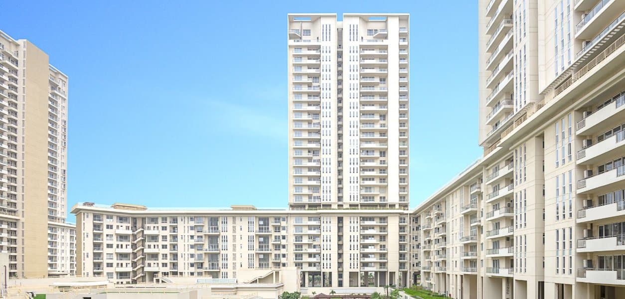 Property Banner Property Banner