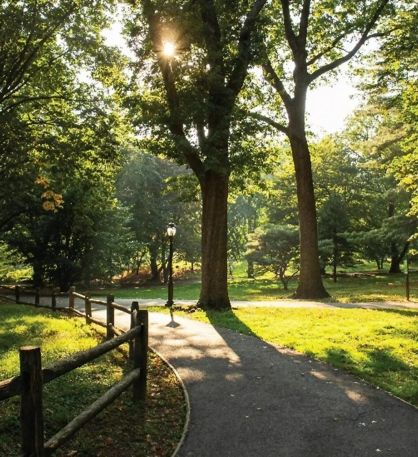 d0f76bce-7346-47da-aff9-d11307ec9073.jpg d0f76bce-7346-47da-aff9-d11307ec9073.jpg