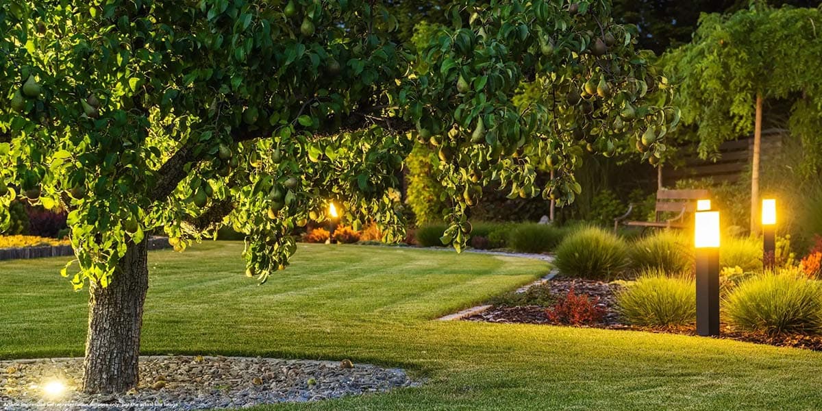 41106d74-4e18-47a0-bf56-9b4841de6a2c.webp 41106d74-4e18-47a0-bf56-9b4841de6a2c.webp