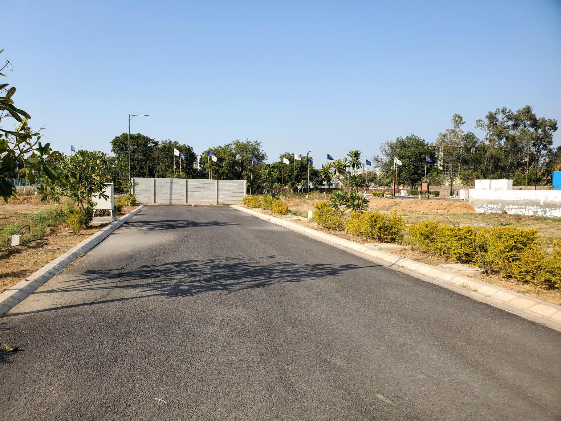 246dd566-b0c5-42bf-a59a-7a414f95d1e0.jpg 246dd566-b0c5-42bf-a59a-7a414f95d1e0.jpg