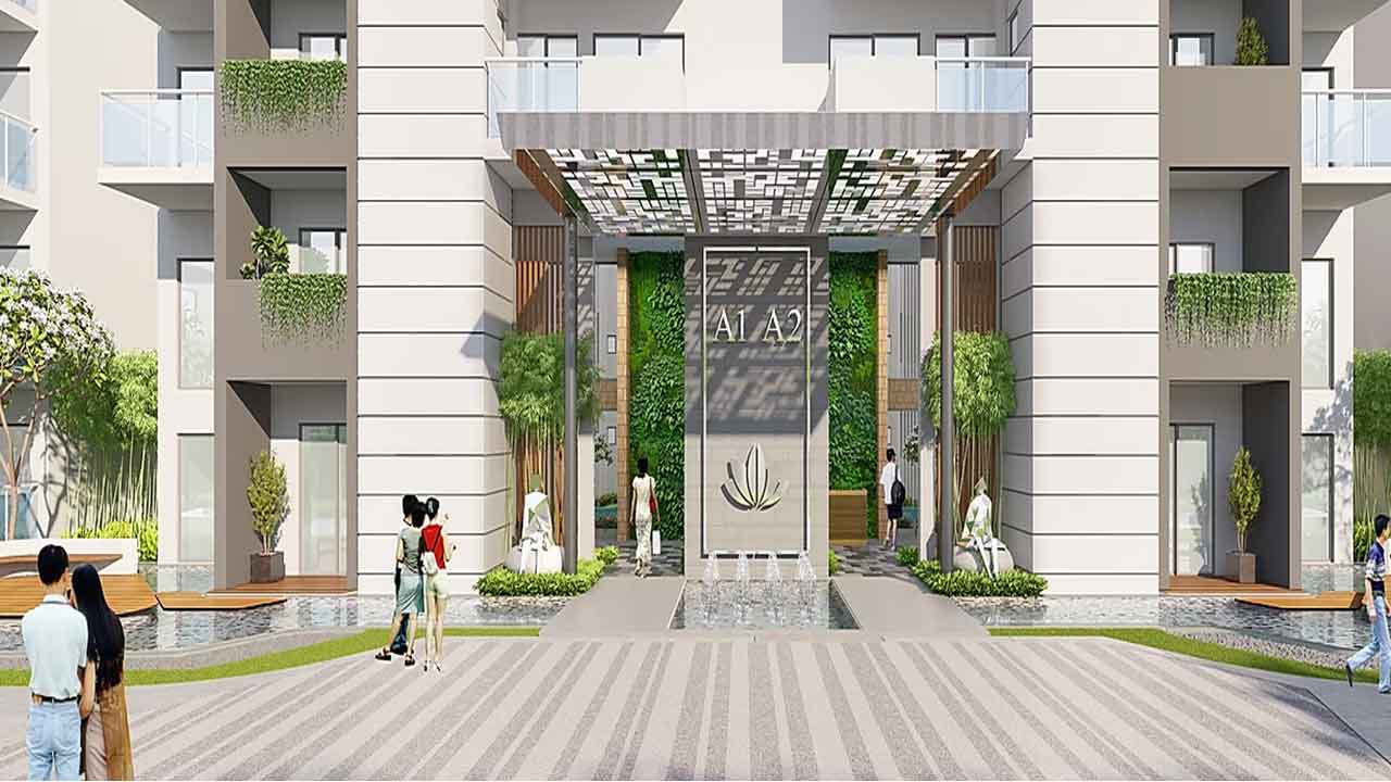 c62f5100-13a8-4ff0-826f-59105cfc1401.jpg c62f5100-13a8-4ff0-826f-59105cfc1401.jpg